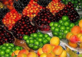 توزیع روزانه میوه به ۲۲ هزارتن رسید توزیع روزانه میوه به ۲۲ هزارتن رسید