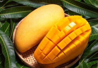 سلطان میوههای استوایی با خواص بینظیر برای بدن سلطان میوههای استوایی با خواص بینظیر برای بدن