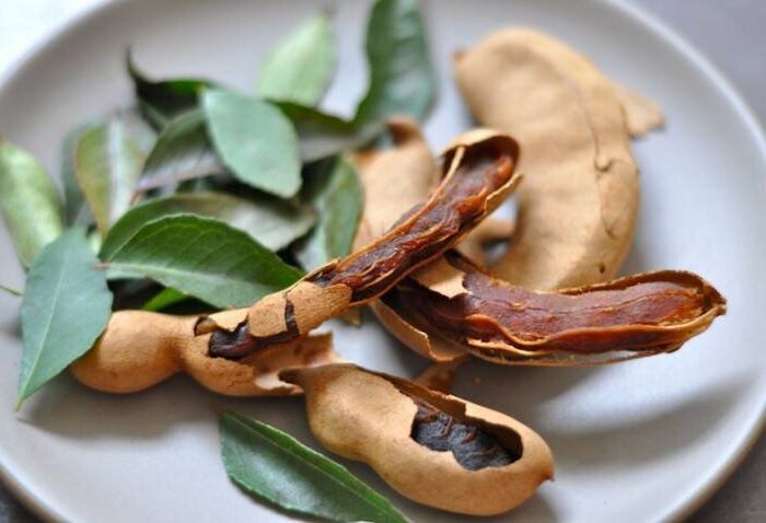 تمر هندی؛ میوهای ترش با فواید شگفتانگیز برای سلامت بدن تمر هندی؛ میوهای ترش با فواید شگفتانگیز برای سلامت بدن