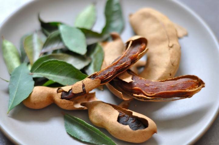 تمر هندی؛ میوهای ترش با فواید شگفتانگیز برای سلامت بدن تمر هندی؛ میوهای ترش با فواید شگفتانگیز برای سلامت بدن